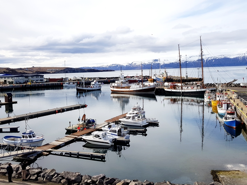 Það er einstaklega fallegt veður á Húsavík í dag og hentar vel til hvalaskoðunar. Hvalasafnið á Húsavík býður 20% afslátt gegn framvísun miða í hvalaskoðun.