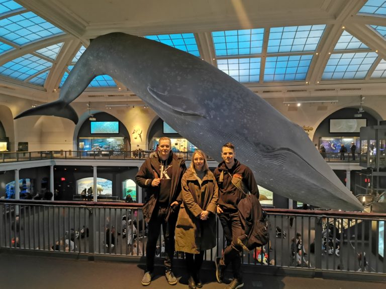Whale museum staff in Natural History Museum New York City